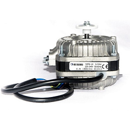 Электродвигатель WEIGUANG 5W CCW (220v; 0,2A)